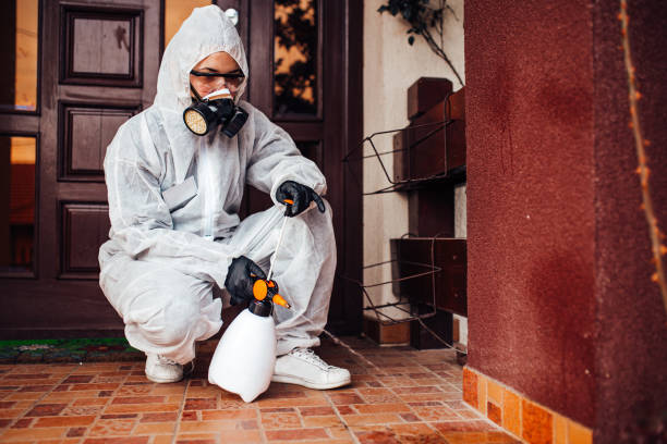 Reliable Wasp Removal contractor in Des Plaines, IL by Show Me Pest Control
